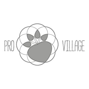 Pro Village